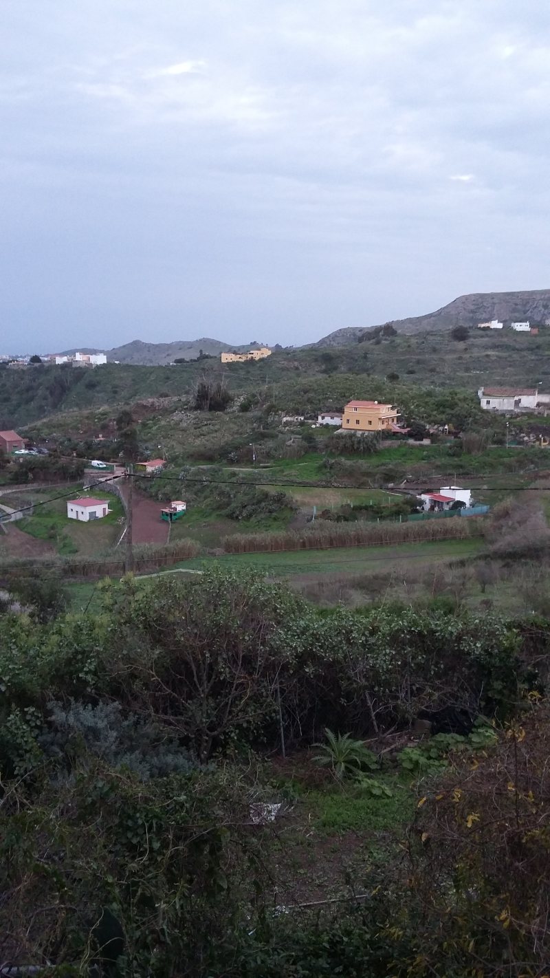 imagen 2 de vivienda vegana en Las Palmas de Gran Canaria - Canarias