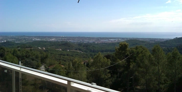 blog-image