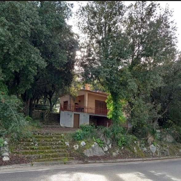 blog-image