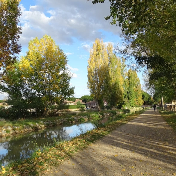 blog-image