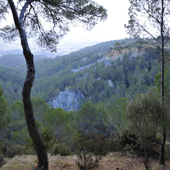 blog-image