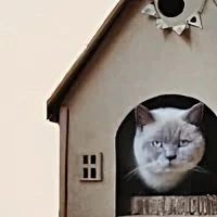 Protectoras y santuarios en Córdoba